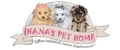 Why Buy a Maltese Puppy From Diana's Pet Home