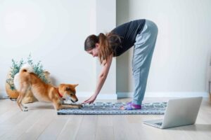 Internet-Based Dog Training: Essential Information
