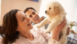 Puppy Training Tips Cultivating Positive Habits for Your Furry Companion