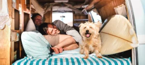 Ultimate Guide to Effortless Camping with Your Furry Friend Tips and Tricks for a Stress-Free Adventure