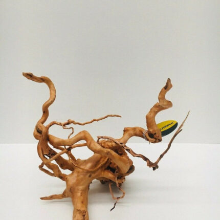 DYMAX TWEETY WOOD LARGE
