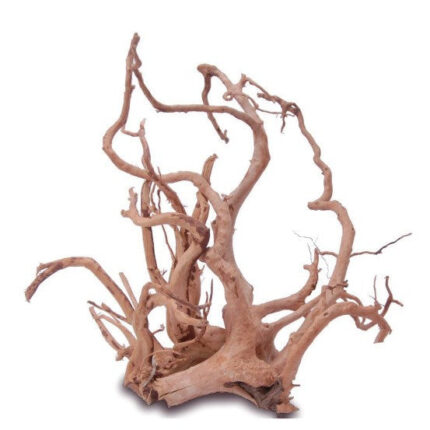 DYMAX TWEETY WOOD XLARGE