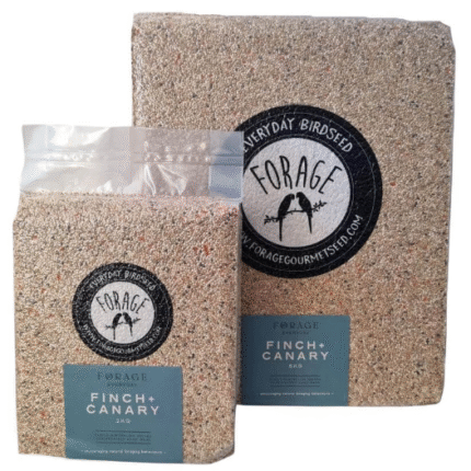 FORAGE EVERYDAY FINCH & CANARY BLEND 2KG