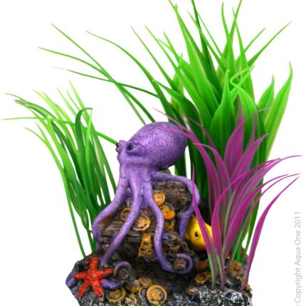 OCTOPUS W/PLANT