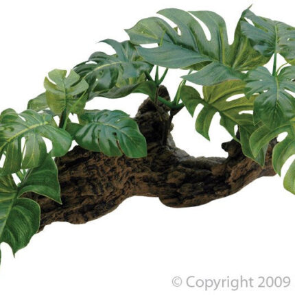 PLASTIC PLANT ON DRIFTWOOD