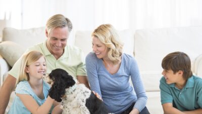 Creating the Perfect Pet Family: Multi-Pet Household Guide for Harmony & Happiness